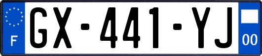 GX-441-YJ