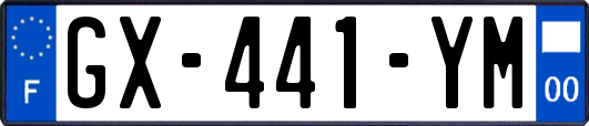 GX-441-YM