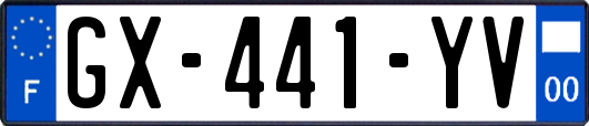 GX-441-YV