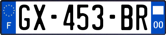 GX-453-BR