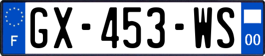 GX-453-WS