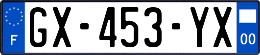GX-453-YX