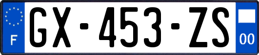 GX-453-ZS