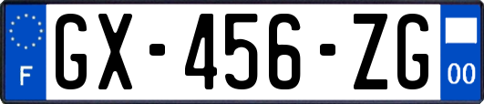GX-456-ZG