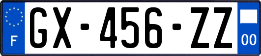 GX-456-ZZ
