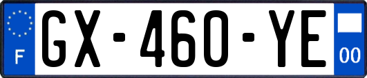 GX-460-YE