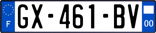 GX-461-BV