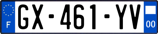 GX-461-YV