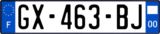 GX-463-BJ