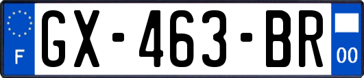 GX-463-BR