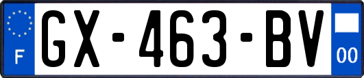 GX-463-BV