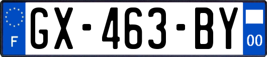 GX-463-BY