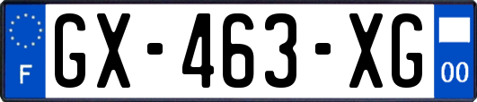 GX-463-XG