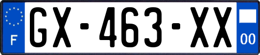 GX-463-XX
