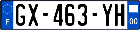 GX-463-YH