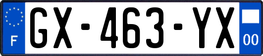 GX-463-YX