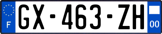 GX-463-ZH
