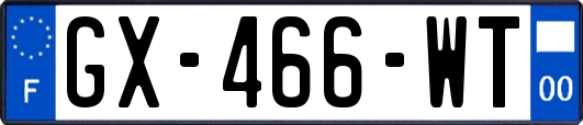 GX-466-WT