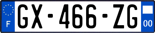 GX-466-ZG