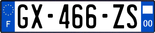 GX-466-ZS