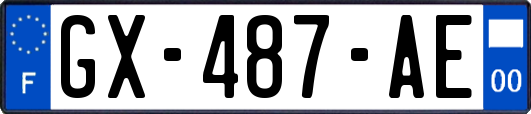 GX-487-AE