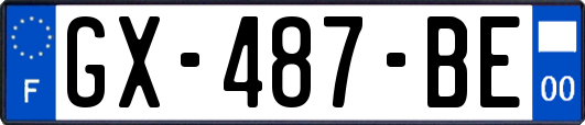 GX-487-BE
