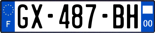 GX-487-BH