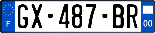 GX-487-BR