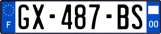 GX-487-BS
