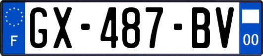 GX-487-BV