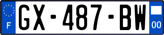 GX-487-BW