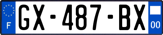 GX-487-BX