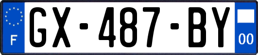 GX-487-BY