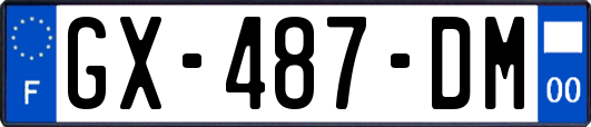 GX-487-DM