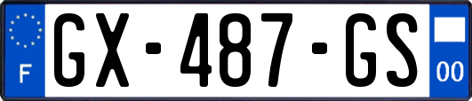 GX-487-GS