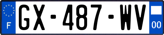 GX-487-WV