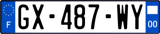 GX-487-WY