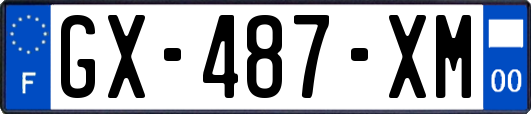 GX-487-XM