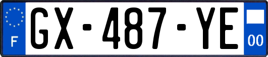 GX-487-YE