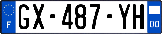 GX-487-YH