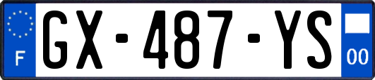 GX-487-YS