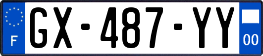 GX-487-YY