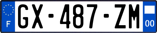 GX-487-ZM