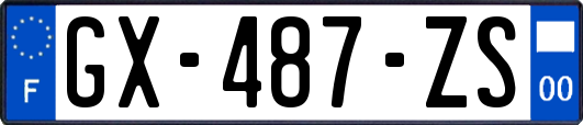 GX-487-ZS