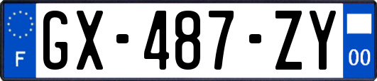 GX-487-ZY