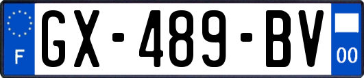 GX-489-BV