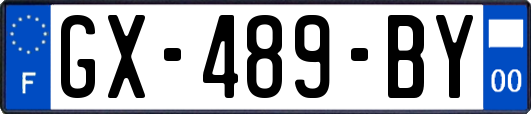 GX-489-BY