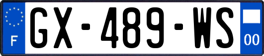 GX-489-WS