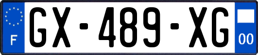 GX-489-XG