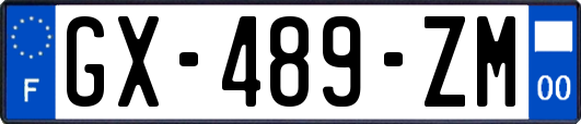GX-489-ZM